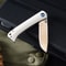 Premium Damascus Folding Knife with Cow Bone Handle Outdoor & Camping Pocket Knife