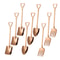 Stainless Steel Dessert & Fruit Fork Set Cake & Appetizer Utensils