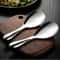 Premium Stainless Steel Rice Paddle & Non Stick Serving Spoon Heat Resistant Rice Utensil