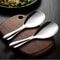 Premium Stainless Steel Rice Paddle & Non Stick Serving Spoon Heat Resistant Rice Utensil