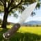 Rugged Outdoor Survival Hunting and Fishing Knife Portable Wilderness Fixed Blade Tool