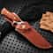 Damaly Fixed Blade Outdoor Survival Knife With Sheath For Camping BBQ Travel 3