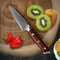 Damascus Paring Knife With Rosewood Handle For Precise Peeling Prep 0