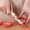 Stainless Steel Kitchen Knife Set Colorful Fruit & Vegetable Knives