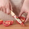 Stainless Steel Kitchen Knife Set Colorful Fruit & Vegetable Knives