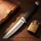 Elite Warrior Steel Outdoor Survival Knife Tactical Camping Blade 3