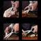 Premium Heavy Duty Extended Kitchen Scissors Stainless Steel Multifunctional Kitchen Shears For Chi 1