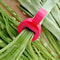 Premium Green Bean Slicer & Vegetable Cutter Manual Tool for Quick Kitchen Prep