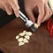 Premium Stainless Steel Garlic & Vegetable Chopper Cutter Fast Kitchen Prep Tool