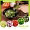 Premium Stainless Kitchen Herb & Vegetable Scissors Effortless Cutting Tool