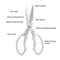 Premium Multifunctional Japanese Stainless Steel Kitchen Scissors Heavy Duty Meat Fish Vegetable S 3