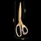 Premium Stainless Steel BBQ Shears Heavy Duty Butcher Scissors & Outdoor Cooking Grill Tool