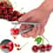 Premium Stainless Steel Cherry Corer & Fruit Seed Remover Kitchen Tool Easy Fruit Pitting