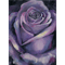 Purple Rose Still life Painting    .png