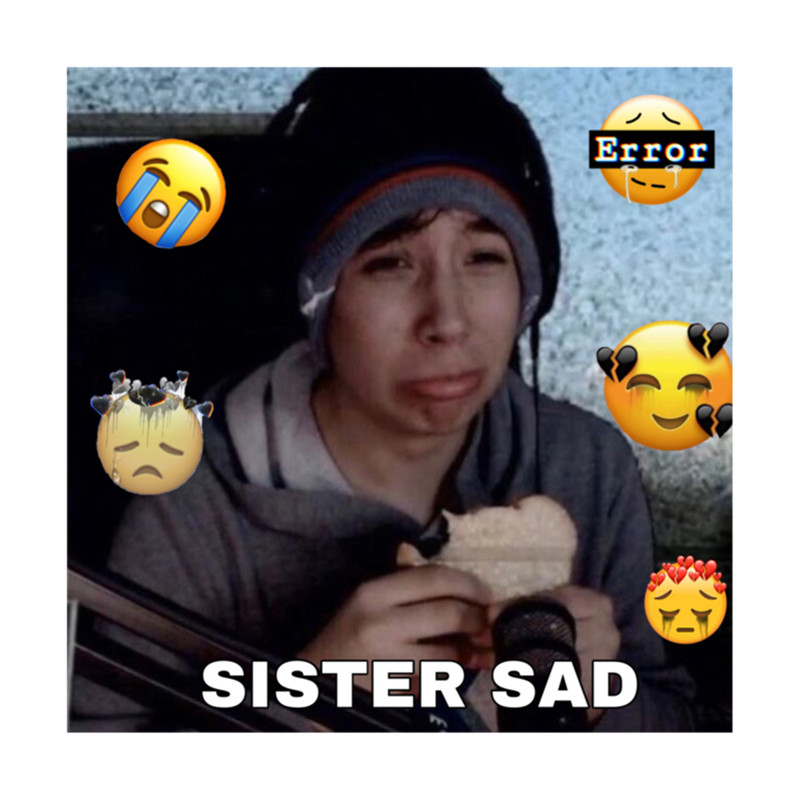 QuackityHQ sister sad meme .png