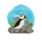 Atlantic Puffin New Harbor Maine .png