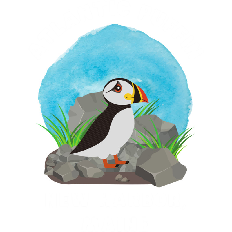 Atlantic Puffin New Harbor Maine .png
