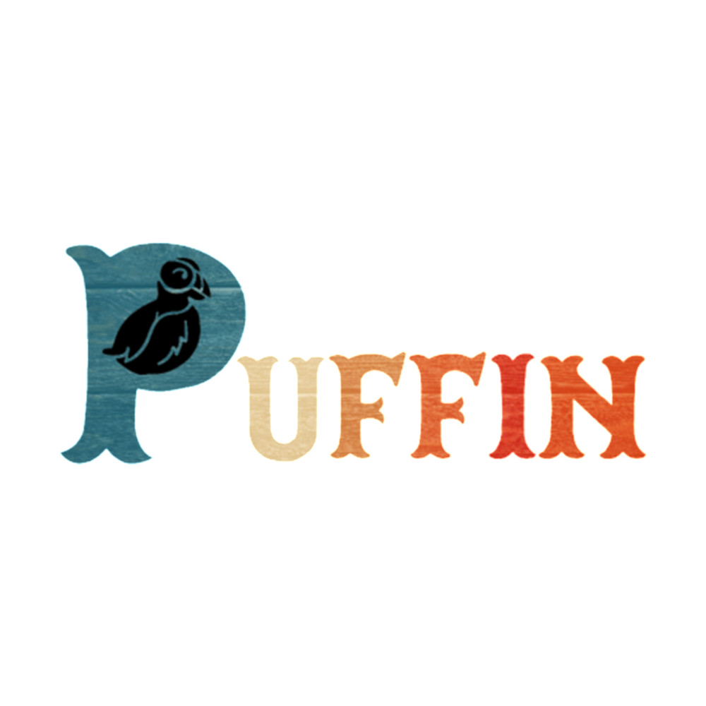 Bird Lover Arctic Puffin Puffin Gift Fitted V-Neck .png