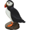 Puffin On Rock Digital Painting .png