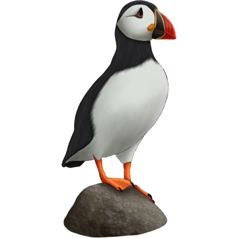 Puffin On Rock Painting .png