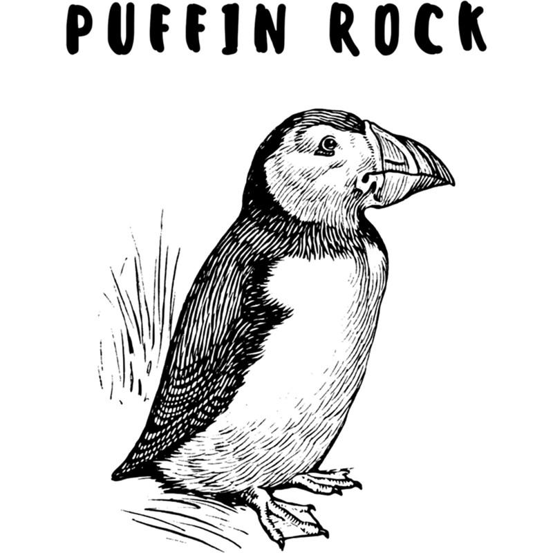 Puffin rock .png