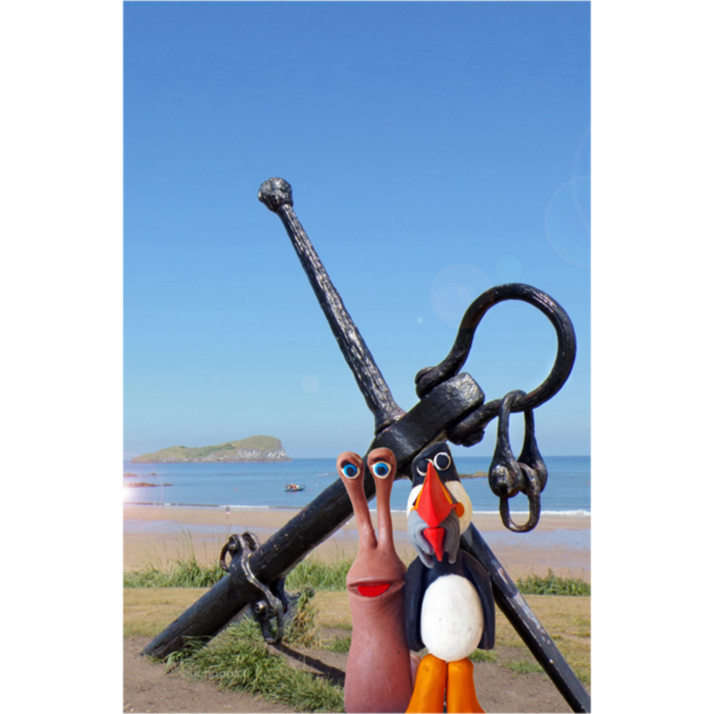 SnailandPuffin and anchor and bass rock north berwick .png