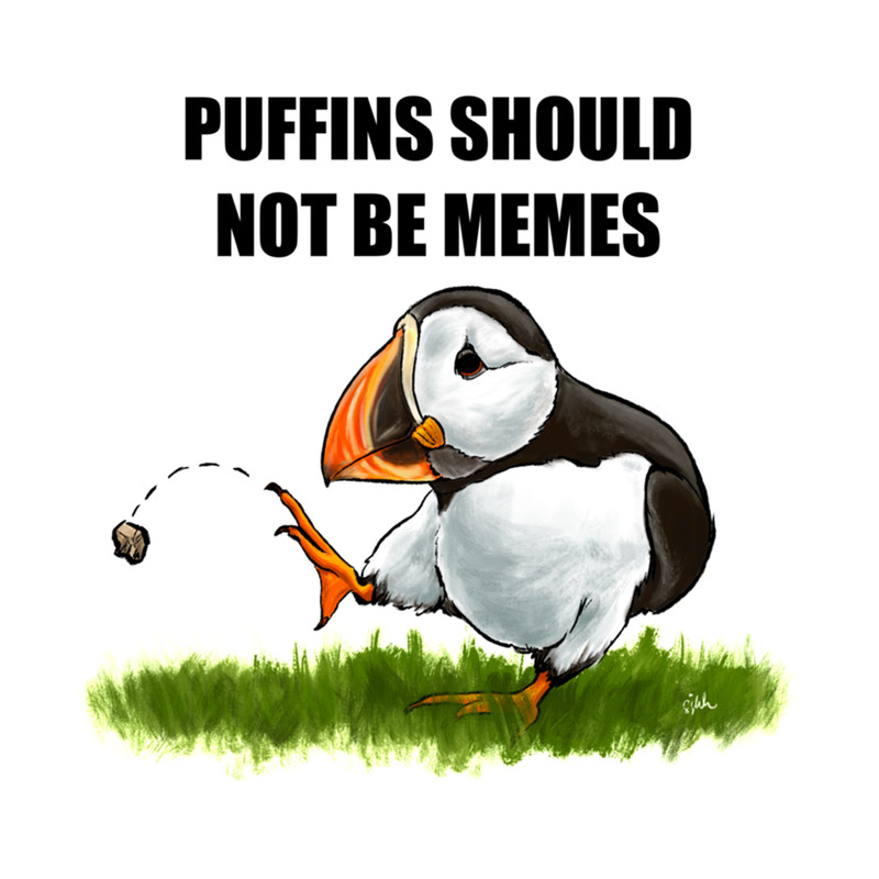 Unpopular Opinion Puffin Meme .png