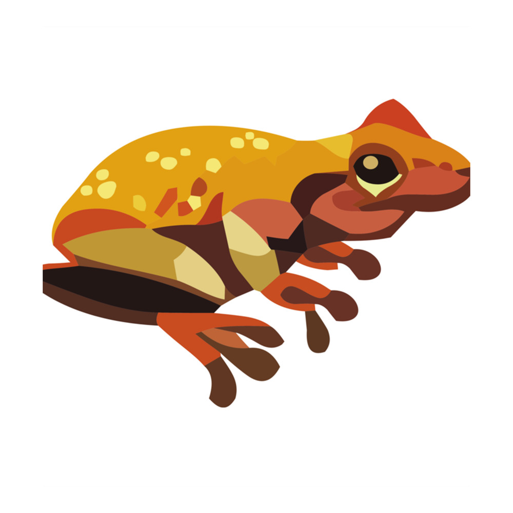 Kermit The Frog (17).png