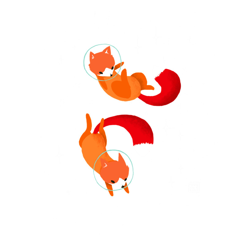 Space Foxes .png