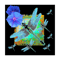 BLUE DRAGONFLY_S BLUE MORNING GLORIES FLORAL BLACK ART, .png