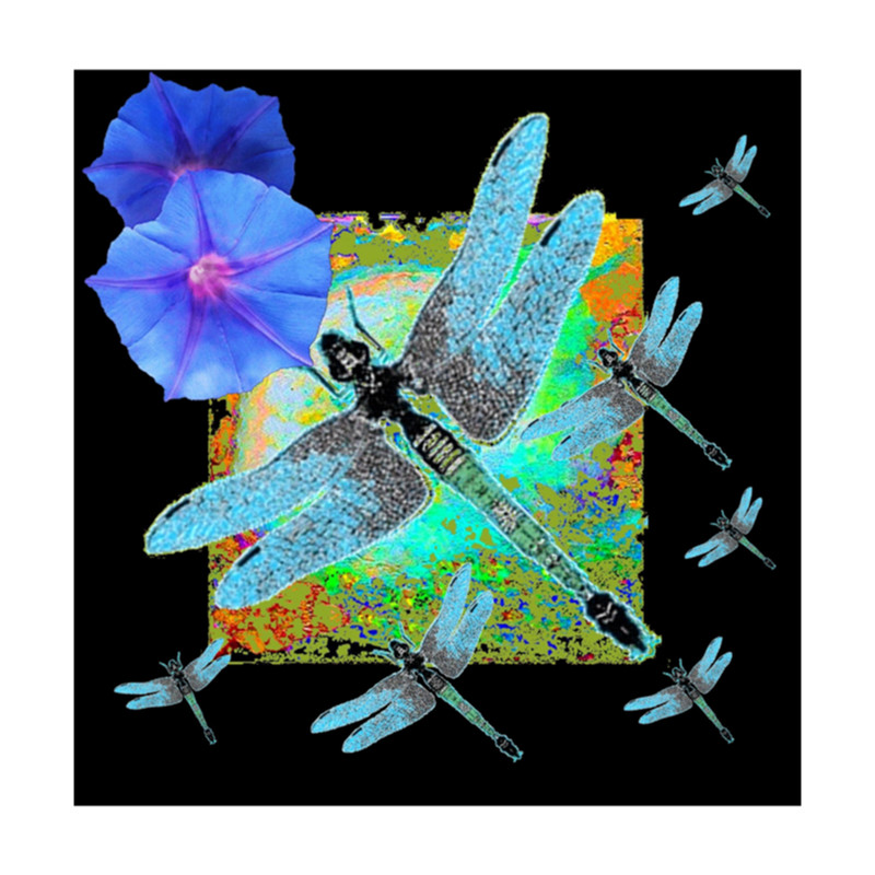 BLUE DRAGONFLY_S BLUE MORNING GLORIES FLORAL BLACK ART, .png