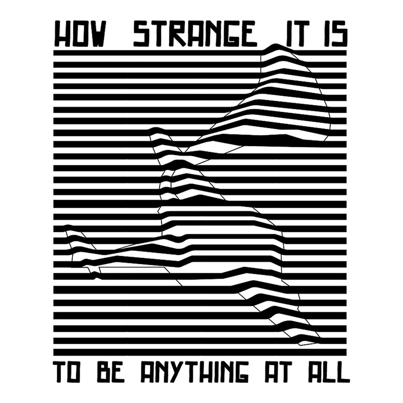 Black Stripes How Strange it is to be Anything at all .png