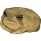 Angry Rain Frog.png