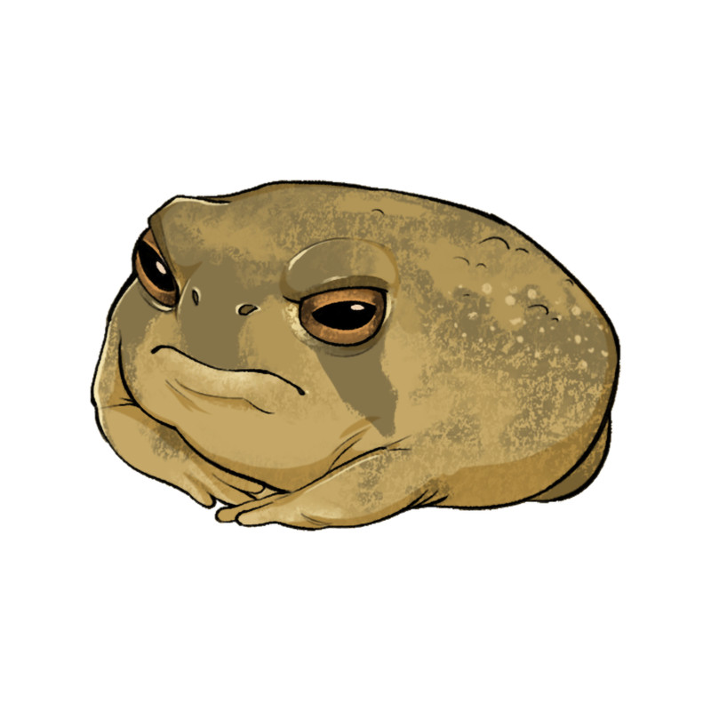 Angry Rain Frog.png