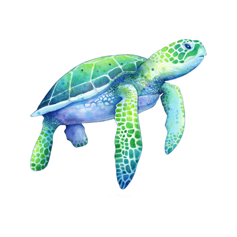 Green Sea Turtle.png