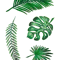 Leaf Set Long .png