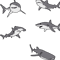 shark pack.png