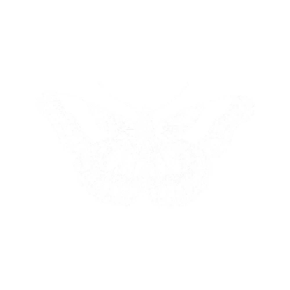White Butterfly Tattoo.png