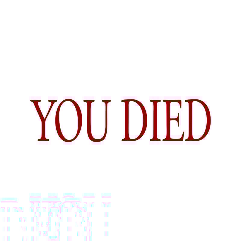 YOU DIED!.png