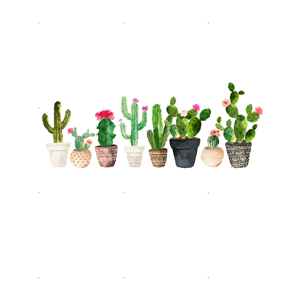 Cactus.png