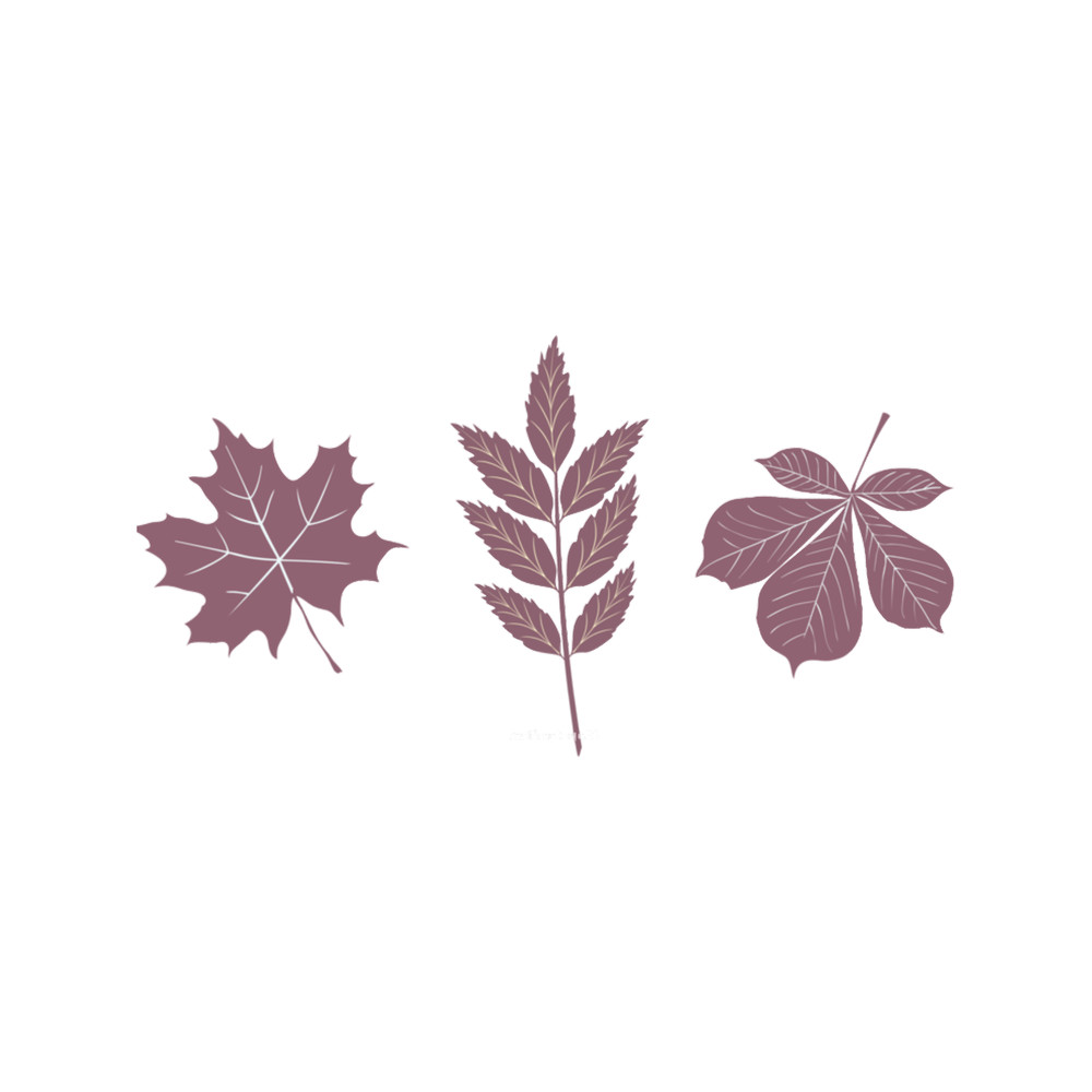 Hello Autumn - Fall tree.png