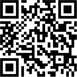 never gonna give you up qr code