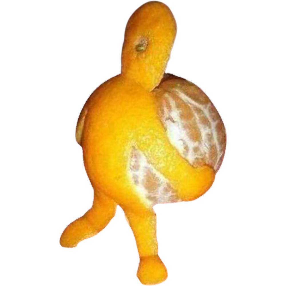 new designe 2023.png