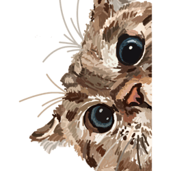 peeking cat