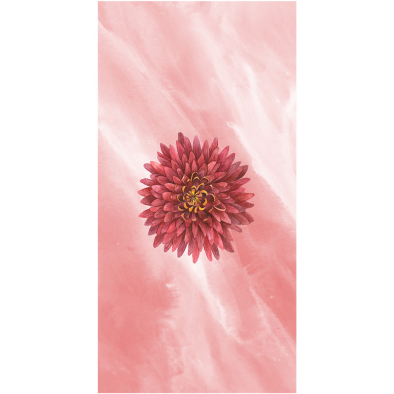 Highlight Funny flower (1).png