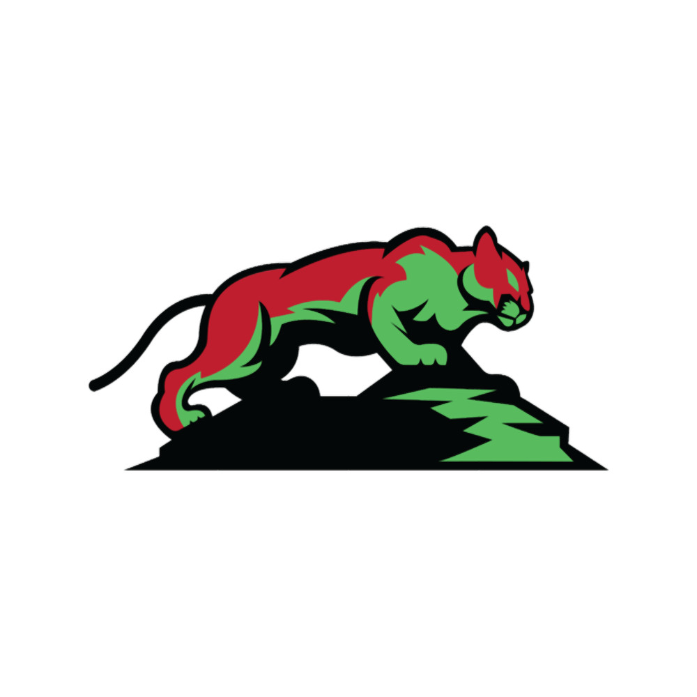 Puma Big Mountain Lion       (5).png