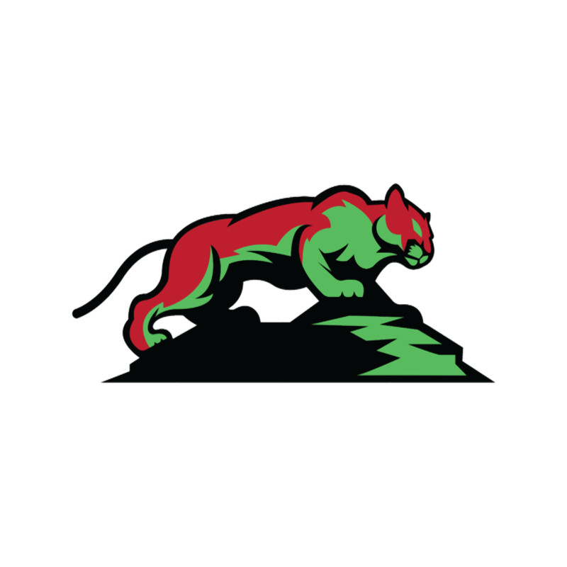 Puma Big Mountain Lion       (5).png