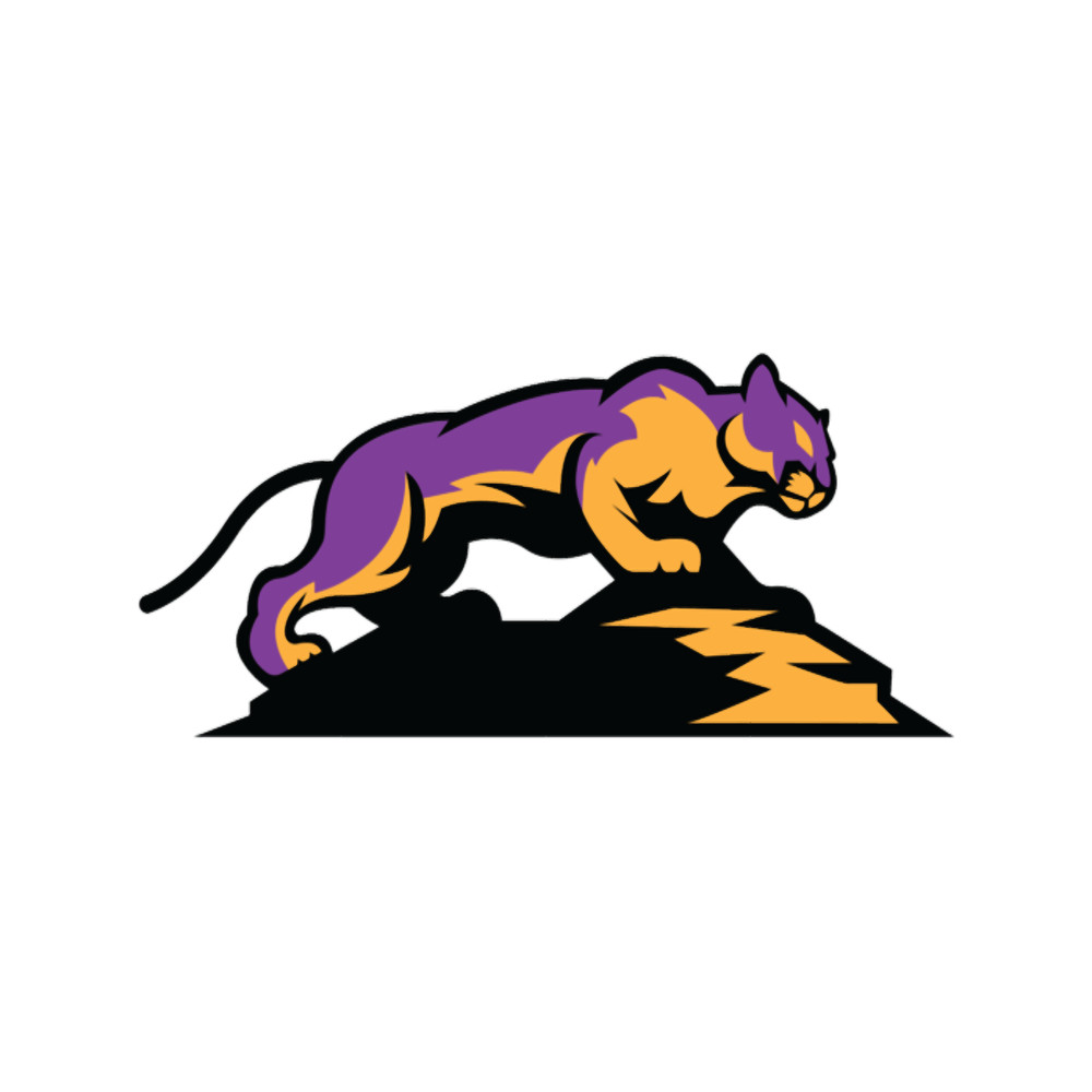 Puma Big Mountain Lion      (4).png