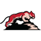 Puma Big Mountain Lion    (2).png