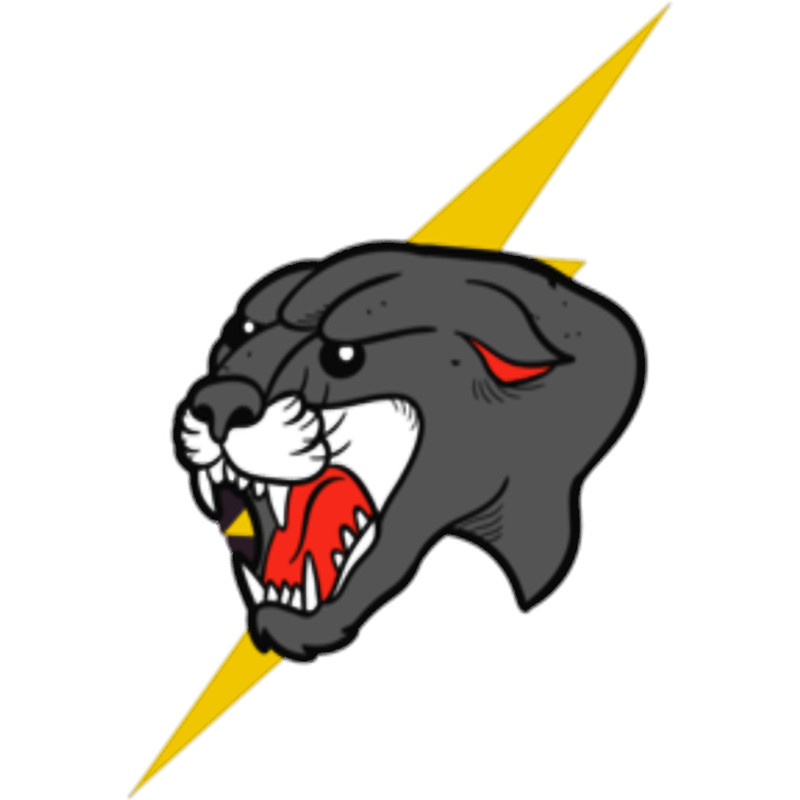 puma thunder design .png